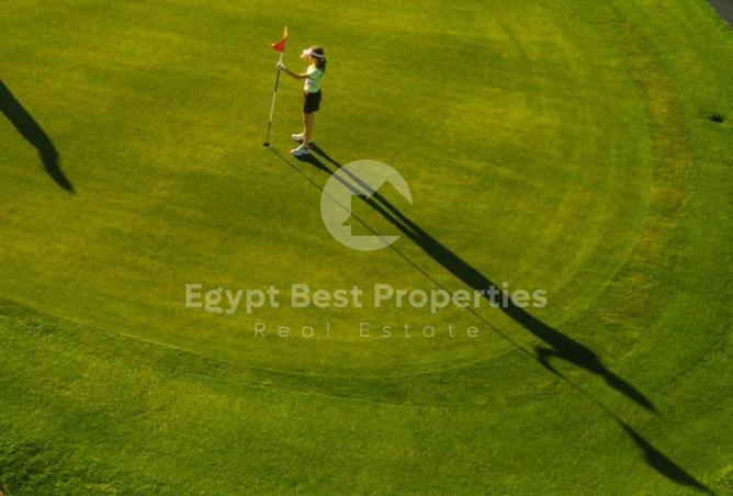 8439166 - Property Image 2