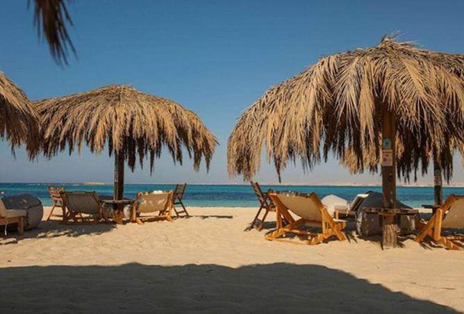 55262483 - صورة العقار 2