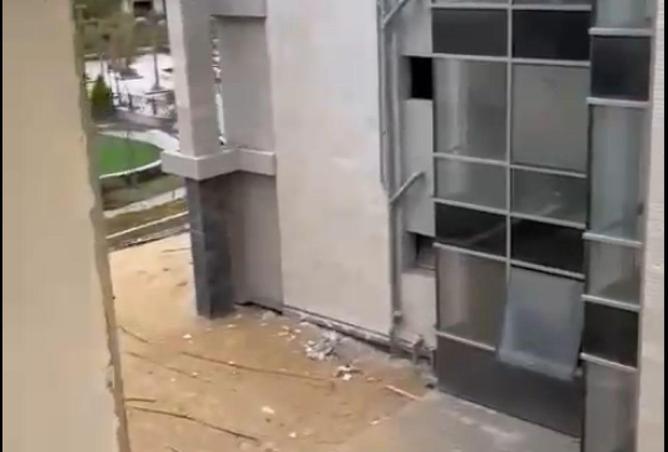 55005530 - صورة العقار 3