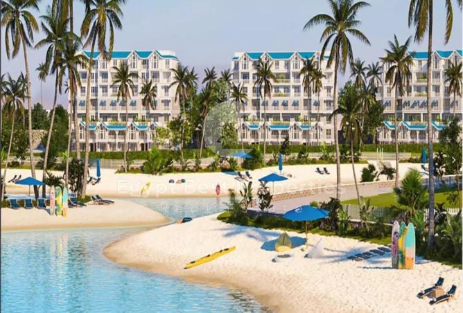 59000534 - Property Image 3