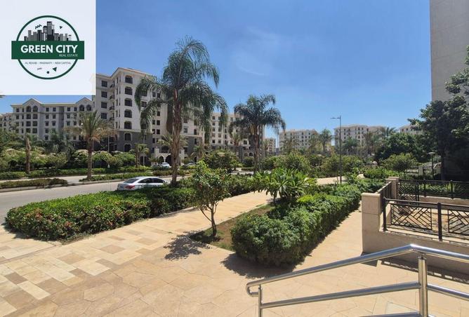101491130 - صورة العقار 3