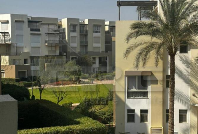 55995532 - الصورة الرئيسية للعقار