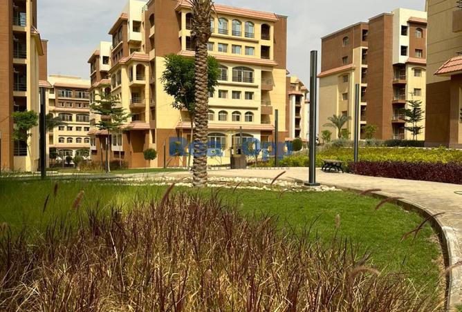 58981745 - صورة العقار 2