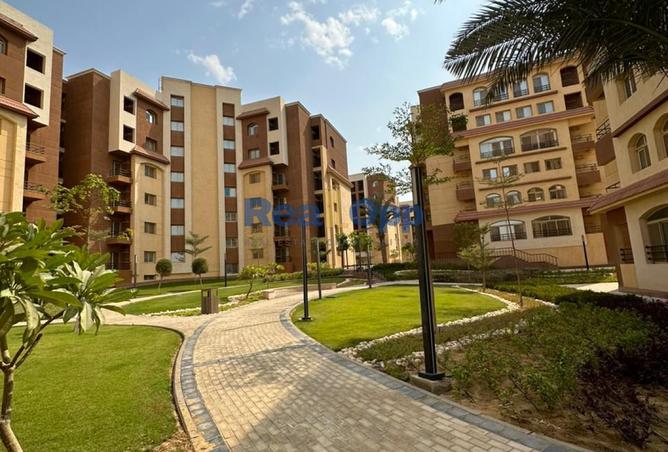 58981745 - صورة العقار 3