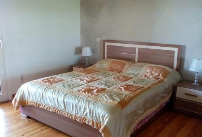 106577260 - صورة العقار 3