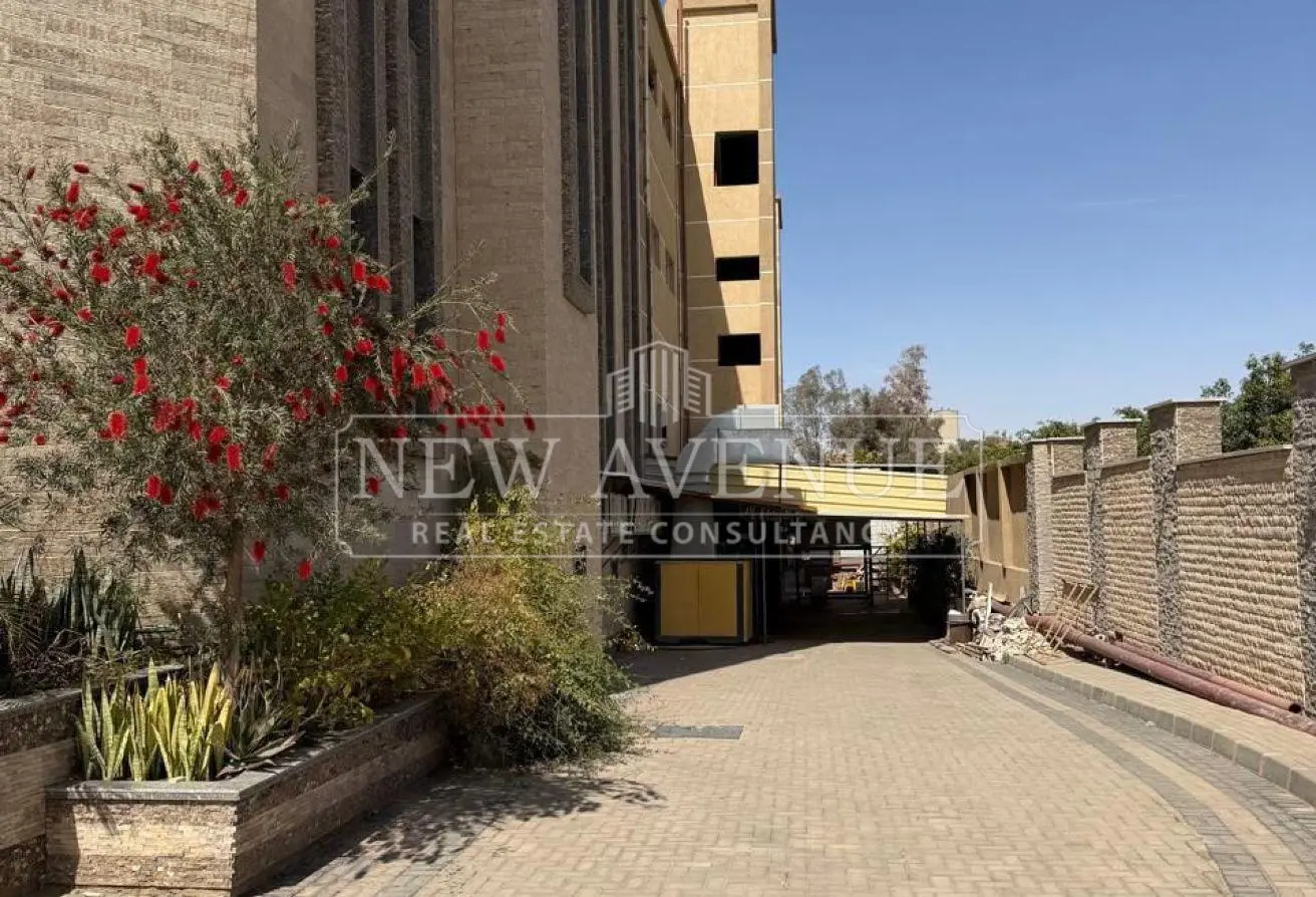 119061464 - الصورة الرئيسية للعقار