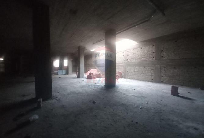 66699681 - صورة العقار 2