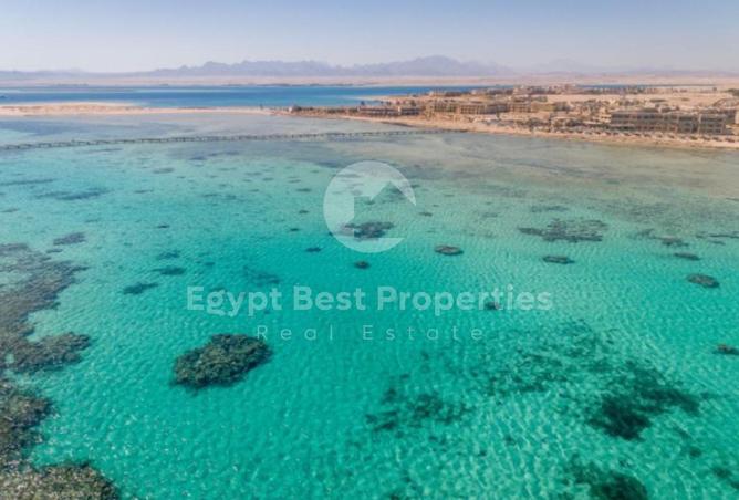 61447749 - Property Image 3