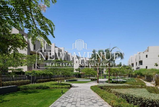 54496736 - Property Image 2