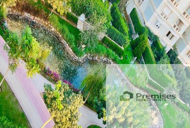 56253256 - Property Image 3