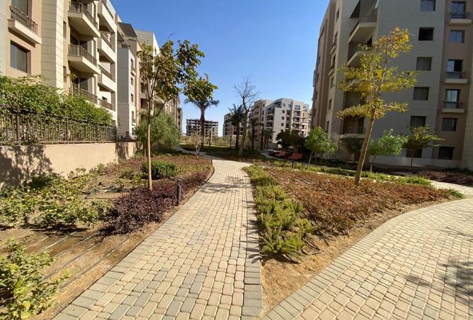 75133652 - صورة العقار 2