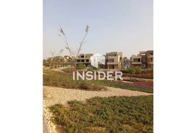 116759218 - Property Image 2