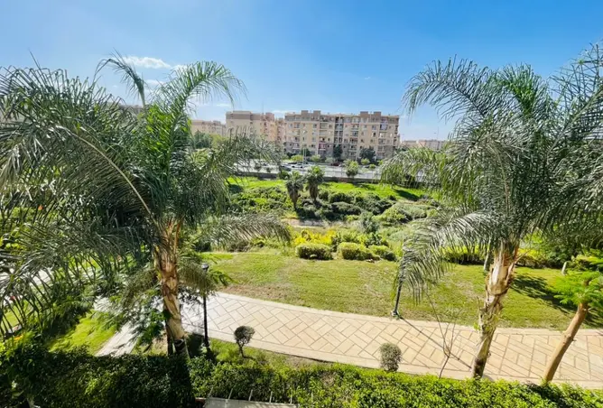 119845427 - صورة العقار 3