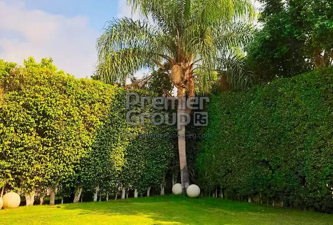 117023818 - Property Image 3