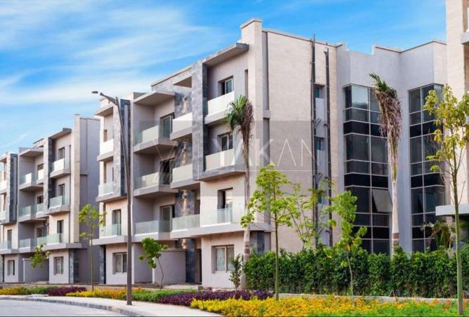 8643854 - Property Image 3