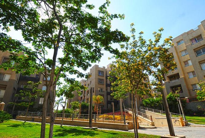 99393622 - صورة العقار 3