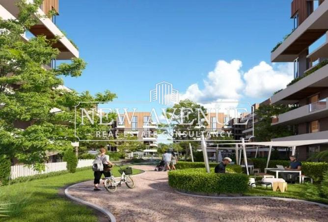 8692913 - Property Image 3