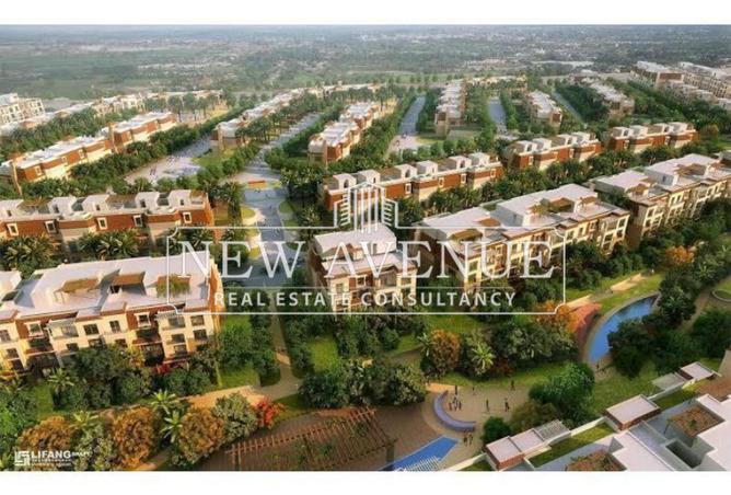 58740548 - Property Image 3