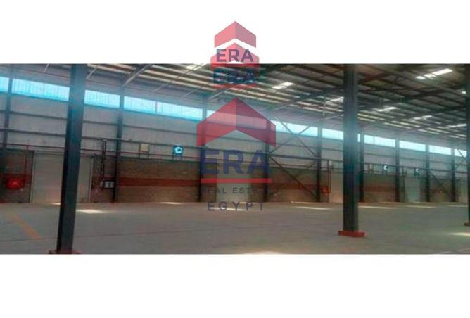 55995879 - Property Image 3