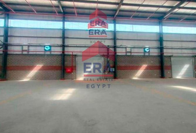 55995879 - Property Image 2