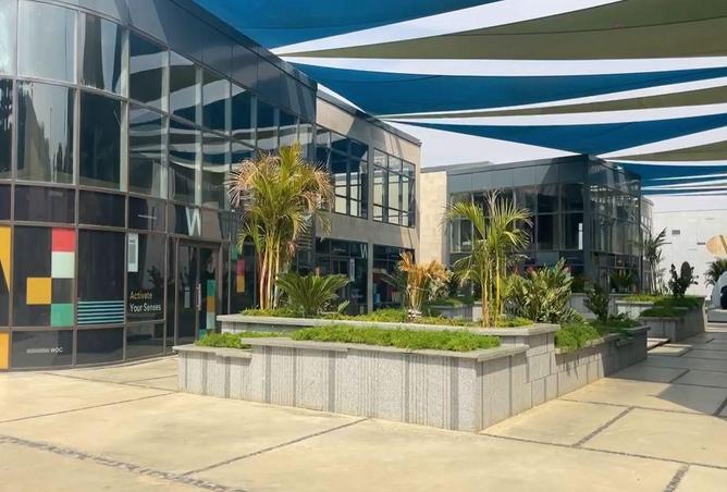 52196049 - صورة العقار 3