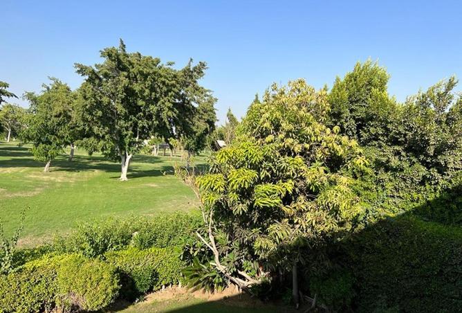 8532995 - صورة العقار 2