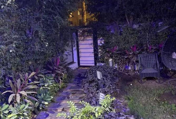 8634081 - Property Image 3