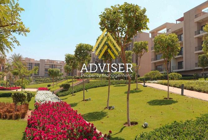 64390259 - Property Image 2