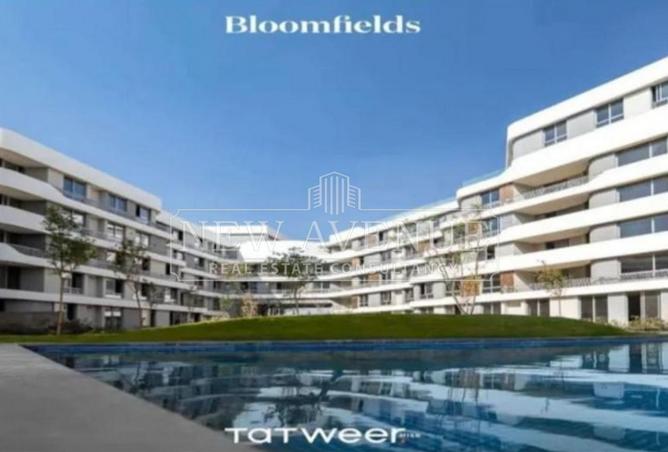 74040157 - Property Image 3