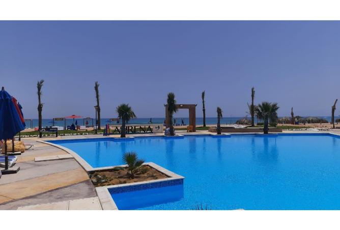 8443429 - Property Image 3