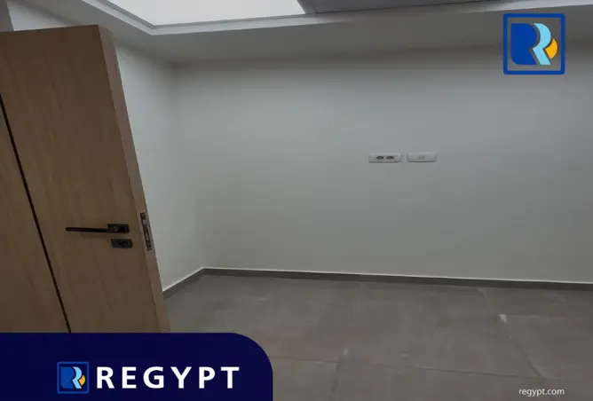 113807803 - Property Image 3