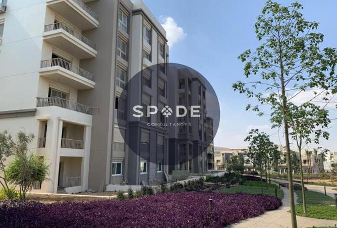 67738584 - صورة العقار 2