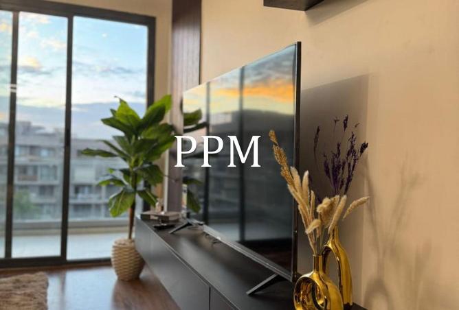 56002718 - Property Image 3