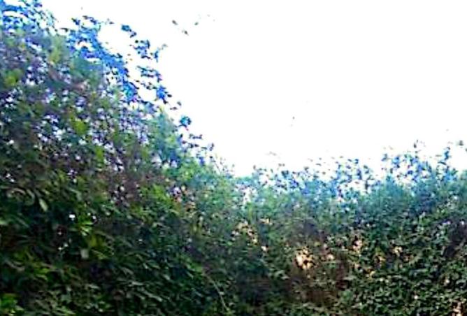 105793764 - الصورة الرئيسية للعقار