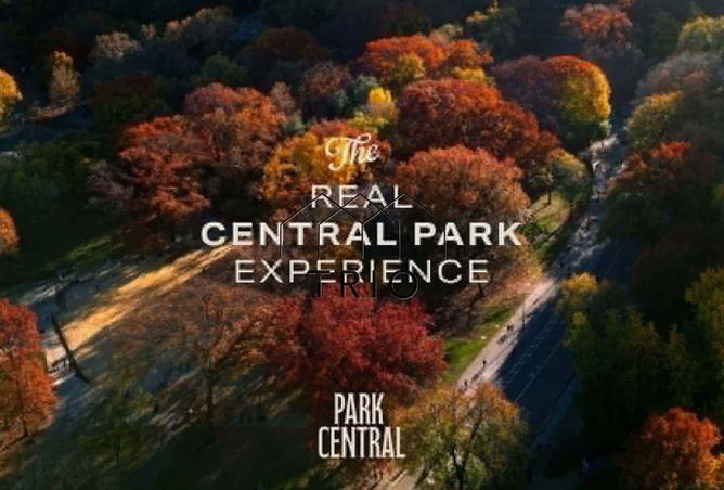 53226354 - Property Main Image