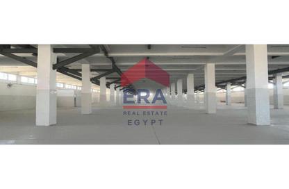 Warehouse - Studio for rent in Al Amereyah Gharb - Hay Al Amereyah - Alexandria