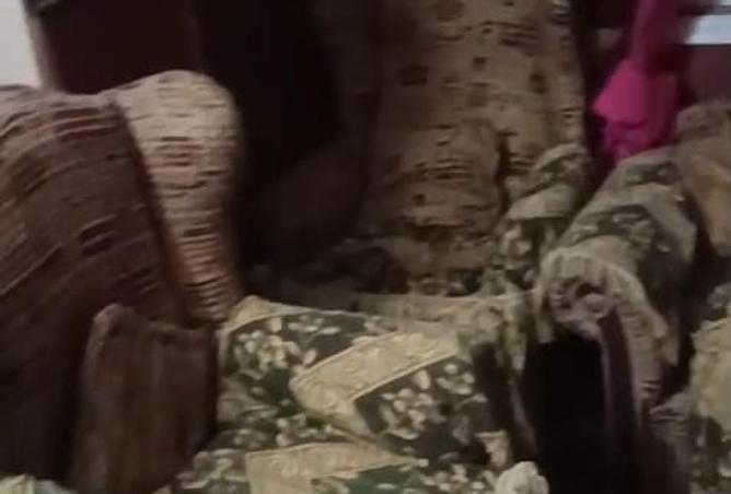 8691096 - صورة العقار 2