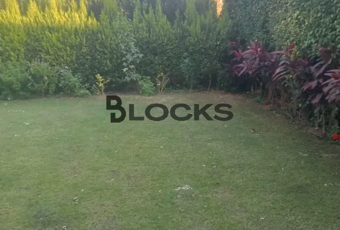 116740302 - Property Image 3