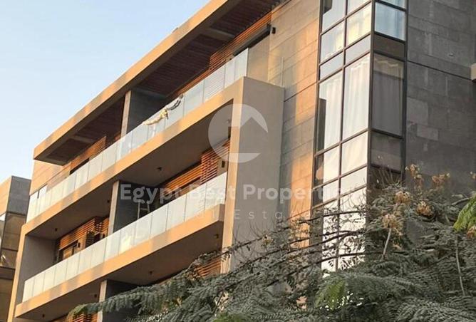 58000176 - Property Image 3