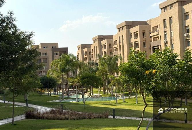 74321495 - Property Image 3