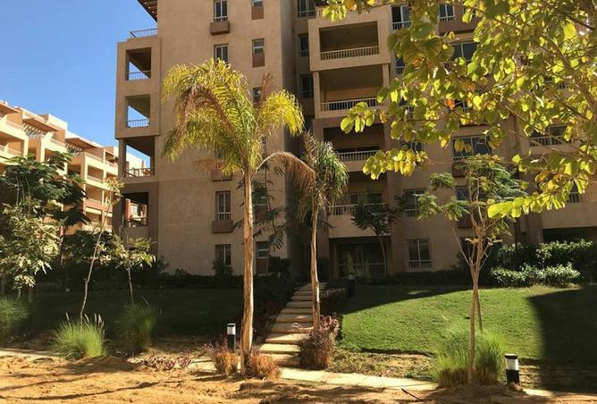 55505464 - صورة العقار 3