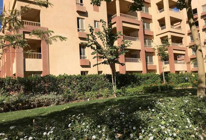 55505464 - صورة العقار 2