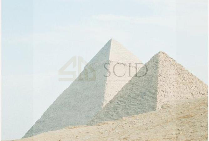 57495746 - Property Image 3