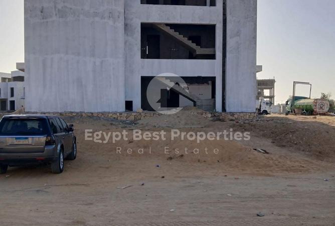 53814594 - Property Image 2