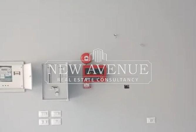 66704026 - Property Image 3