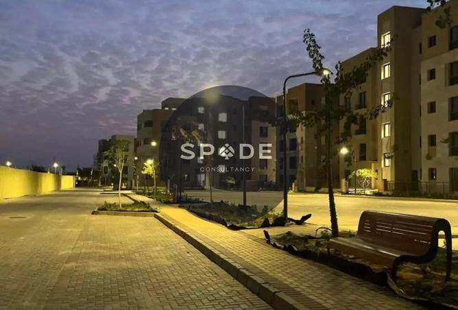 66428145 - Property Image 3