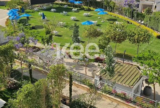 108787040 - صورة العقار 3
