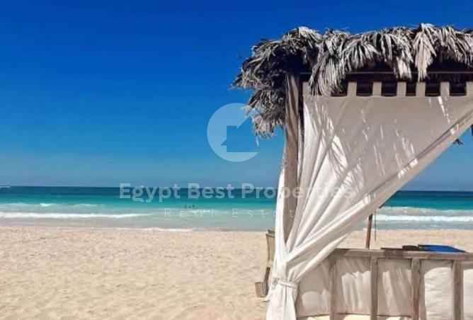 81841770 - صورة العقار 3