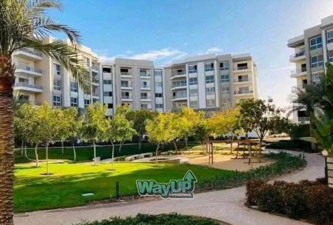 8427517 - Property Image 3