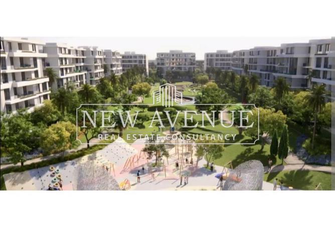73494151 - Property Image 3